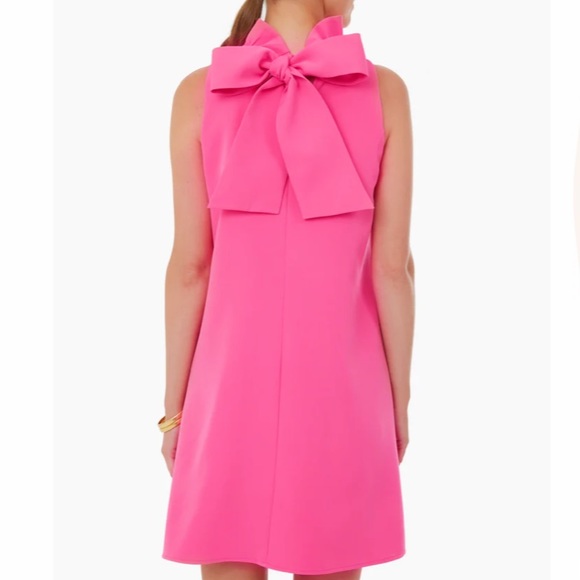 Hot Pink Blythe Dress
TUCKERNUCK - Picture 4 of 12